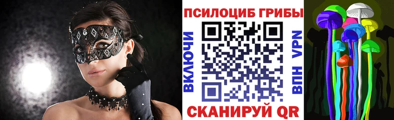 Псилоцибиновые грибы мицелий  Кропоткин 